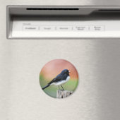 Aimant Willy Wagtail - Australian Bird Art (In Situ (Lave-vaisselle))