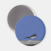 Aimant "Willy Wagtail" (Bue) (Recto/Verso)