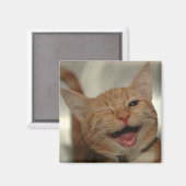 Aimant Winking Happy Ginger Cat (Recto/Verso)