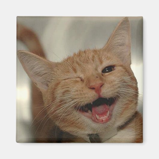 Aimant Winking Happy Ginger Cat (Devant)