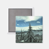 Aimant Winter dans la Tillamook State Forest, Oregon (Recto/Verso)