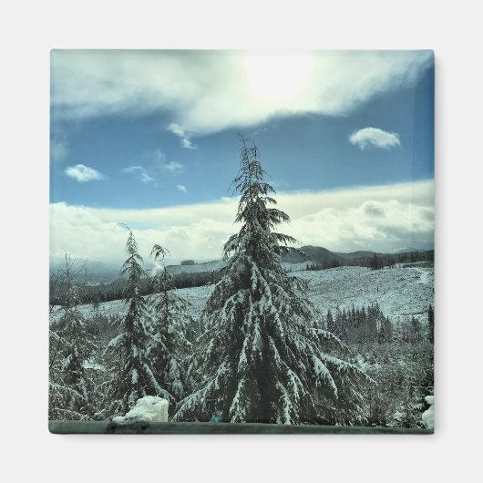 Aimant Winter dans la Tillamook State Forest, Oregon (Devant)