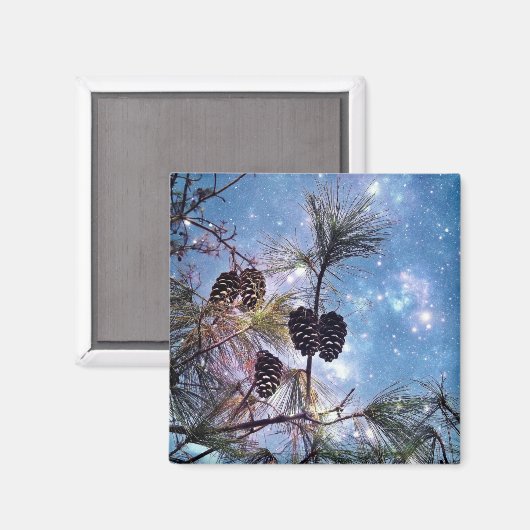 Aimant Winter Pine Cones (Recto/Verso)