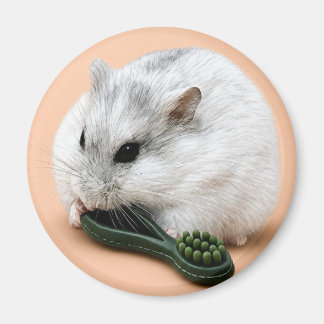 Aimant Winterberry le hamster en train de mâcher un jouet