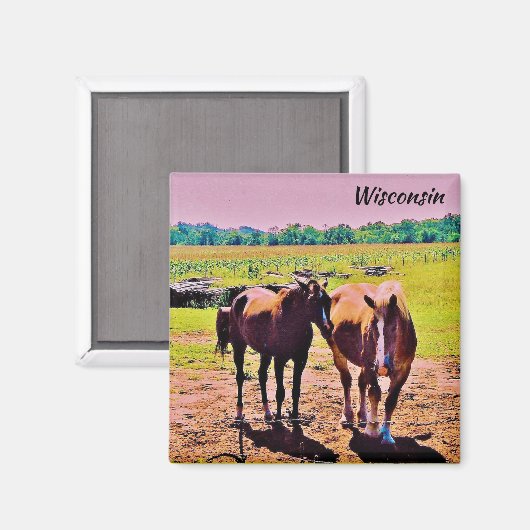 Aimant Wisconsin (Recto/Verso)