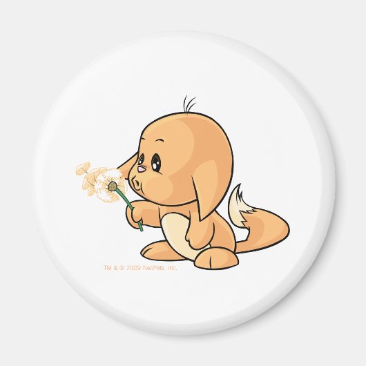 Aimant Wishing orange Kacheek (Devant)