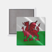 Aimant WLS002 WALES à galets, Frigo (Recto/Verso)
