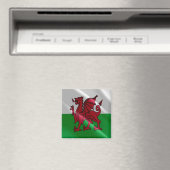 Aimant WLS002 WALES à galets, Frigo (In Situ (Lave-vaisselle))