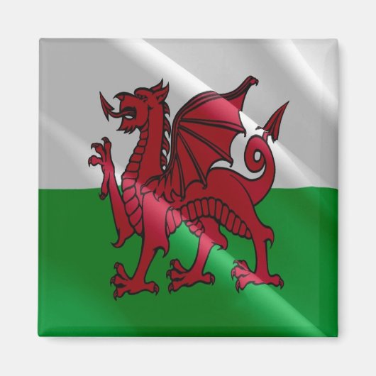 Aimant WLS002 WALES à galets, Frigo (Devant)