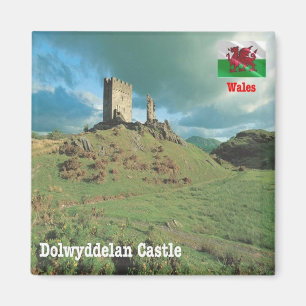 Aimant WLS015 CHÂTEAU DOLWYDDELAN, Pays de Galles, Europe