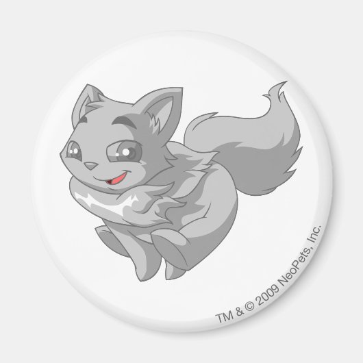 Aimant Wocky Silver (Devant)