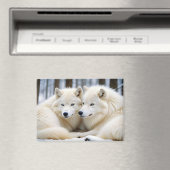 Aimant Wolf Animal Nature Wildlife Affection Caring (In Situ (Lave-vaisselle))