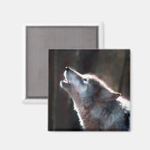 Aimant Wolf Howling Loup solitaire (Recto/Verso)