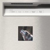 Aimant Wolf Howling Loup solitaire (In Situ (Lave-vaisselle))