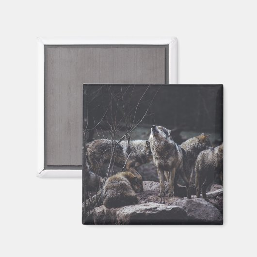 Aimant Wolf Wolf Wolf (Recto/Verso)