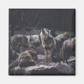 Aimant Wolf Wolf Wolf (Devant)