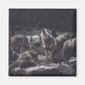 Aimant Wolf Wolf Wolf