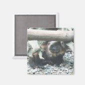 Aimant Wolverine (Recto/Verso)