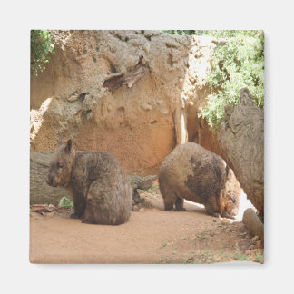 Aimant Wombat Heaven