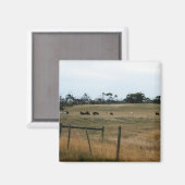 Aimant Wonthaggi (Recto/Verso)