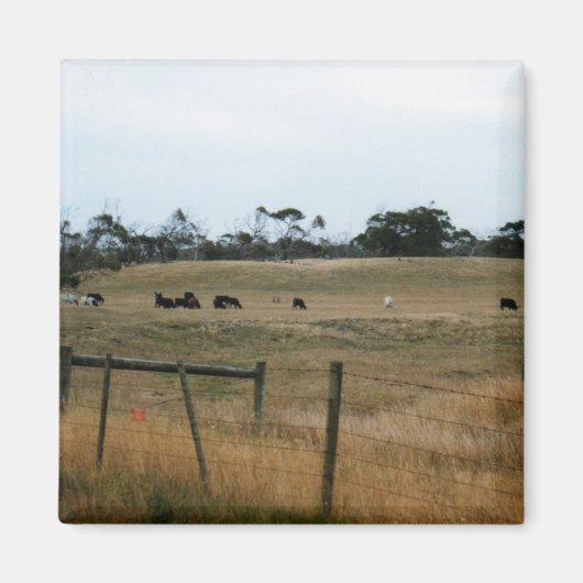 Aimant Wonthaggi (Devant)