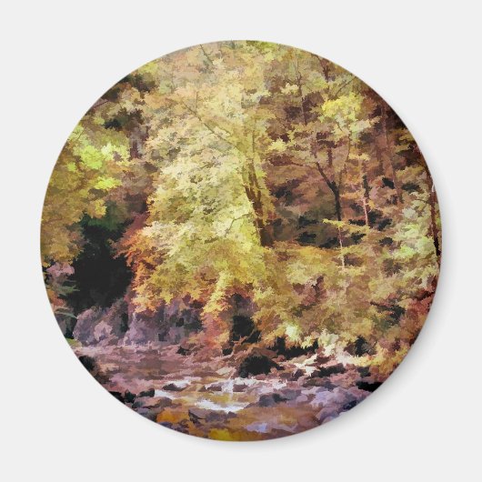 AIMANT WOODLAND STREAM (Devant)