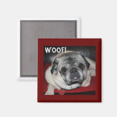 Aimant Woof, Carlin magnétique (Recto/Verso)