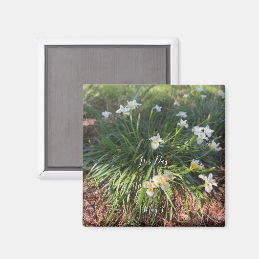 Aimant World2Celebrate : Iris Day (Recto/Verso)