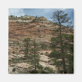 Aimant Worn Rock Walls dans le Parc national de Sion (Devant)