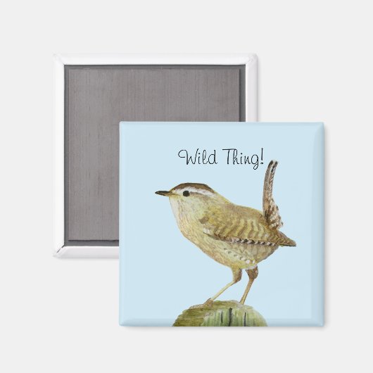 Aimant Wren (Recto/Verso)