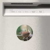 Aimant Wren (In Situ (Lave-vaisselle))
