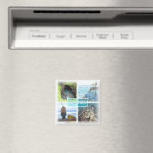 Aimant WS0014 Océanie, Samoa, Frigo (In Situ (Lave-vaisselle))