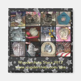 Aimant Wunderchins 2012