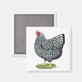 Aimant Wyandotte : Hen à lacet argent (Recto/Verso)