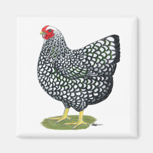 Aimant Wyandotte :  Hen argenté