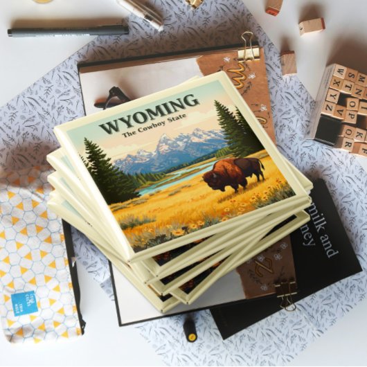 Aimant Wyoming vintage