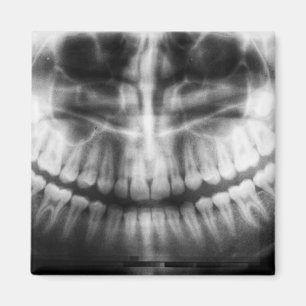 Aimant X-Ray Teeth Bouche sourire noir et blanc