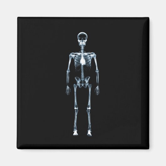 Aimant X-Ray Vision Blue Single Skeleton (Devant)