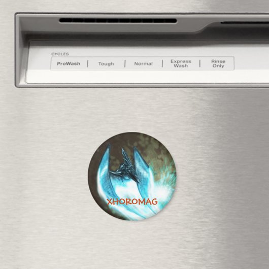 Aimant Xhoromag 15 (In Situ (Lave-vaisselle))