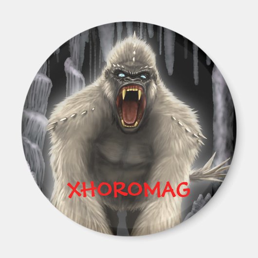 Aimant Xhoromag 7 (Devant)