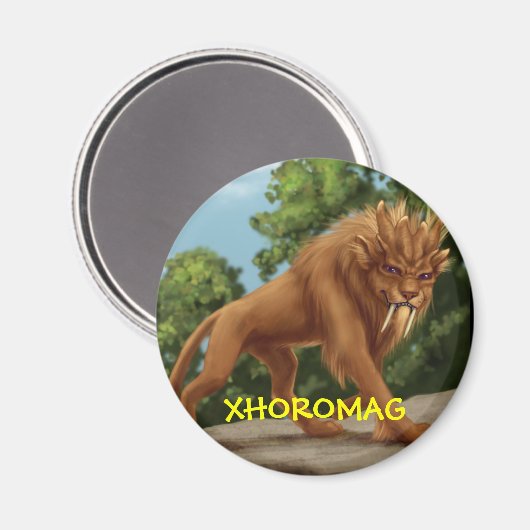 Aimant Xhoromag 9 (Recto/Verso)