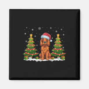 Aimant Xmas Tree Light Irish Setter Chien Santa Hat Chris