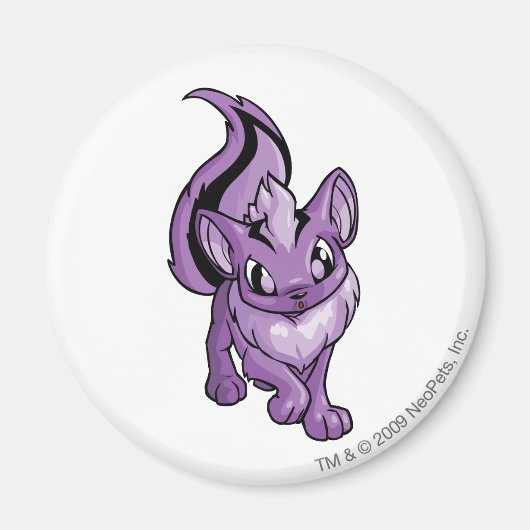 Aimant Xweetok Purple (Devant)