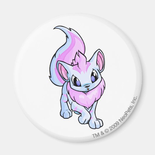 Aimant Xweetok trié (Devant)