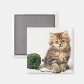 Aimant Yarn vert de Kitten (Recto/Verso)