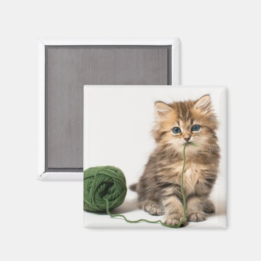 Aimant Yarn vert de Kitten (Recto/Verso)