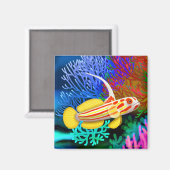 Aimant Yasha Hase crevettes Goby (Recto/Verso)