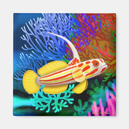 Aimant Yasha Hase crevettes Goby (Devant)