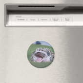Aimant yawner (In Situ (Lave-vaisselle))