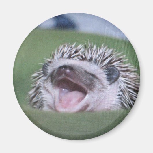 Aimant yawner (Devant)